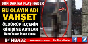BU OLAYIN ADI VAHŞET MAALSEF BÖYLESİDE OLDU 
