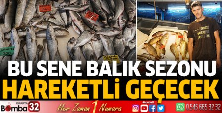 Bu sene hamsi bol olacak 