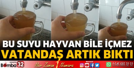 Bu suyu hayvan bile içmez 