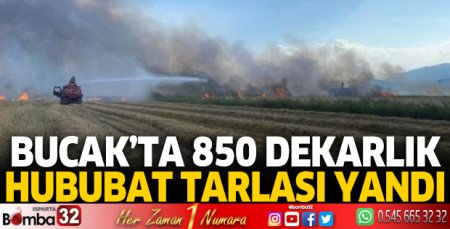 Bucak'ta 850 dekar hububat tarlası yandı