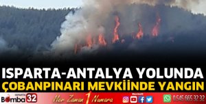Bucak'ta orman yangını