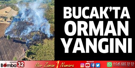 Bucak'ta orman yangını