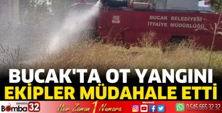 Bucak'ta ot yangını