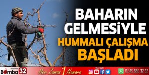 Budama sezonu başladı