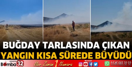 Buğday tarlasında çıkan yangın kısa sürede büyüdü