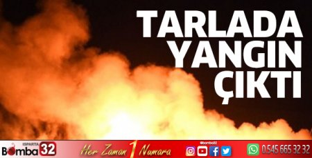 Buğday tarlasında yangın