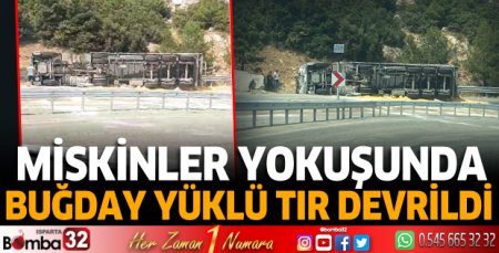 Buğday yüklü TIR devrildi