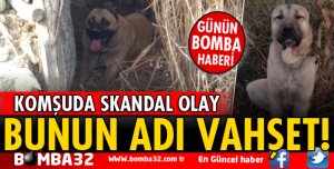 BUNUN ADI VAHŞET!