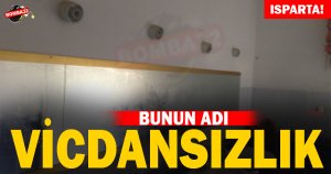 GÖRENLER ŞAŞTI KALDI !
