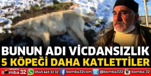 BUNUN ADI VİCDANSIZLIK