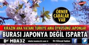 Burası Japonya değil Isparta