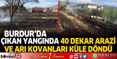Burdur’da çıkan yangında 40 dekar arazi ve arı kovanları küle döndü