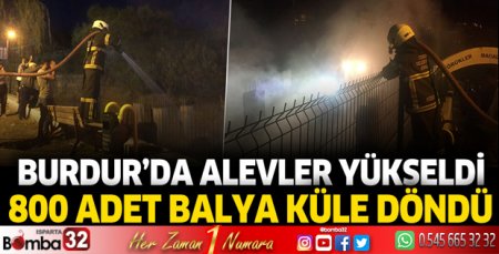 Burdur'da alevler yükseldi! 800 adet balya küle döndü