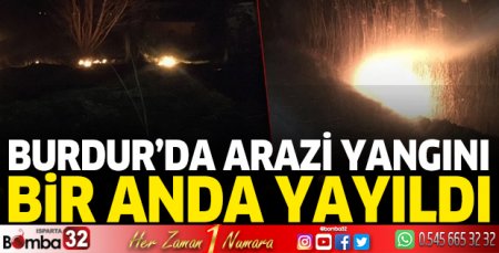 Burdur'da arazi yangını