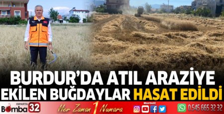 Burdur'da belediye arazilerine ekilen buğdaylar hasat edildi