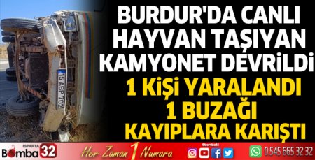 Burdur'da canlı hayvan taşıyan kamyonet devrildi