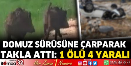 Burdur'da domuz sürüsüne çarparak takla attı : 1 ölü 4 yaralı