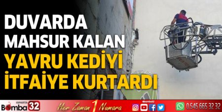 Burdur'da duvarda mahsur kalan yavru kediyi itfaiye kurtardı