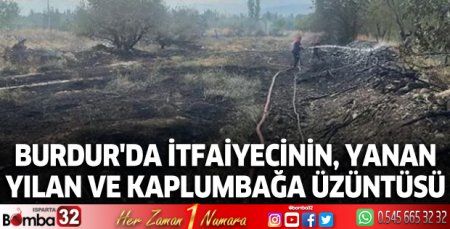 Burdur'da itfaiyecinin, yanan yılan ve kaplumbağa üzüntüsü