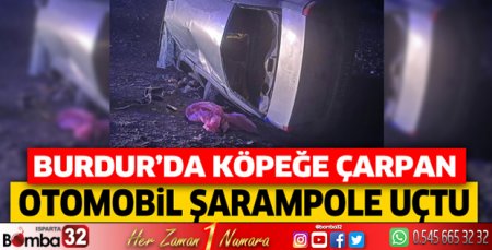 Burdur'da köpeğe çarpan otomobil şarampole uçtu