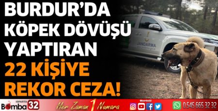 Burdur'da köpek dövüşü yaptıranlara rekor ceza!