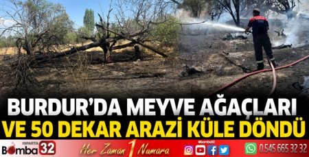 Burdur'da meyve ağaçları ve 50 dekar arazi küle döndü
