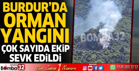 Burdur'da orman yangını