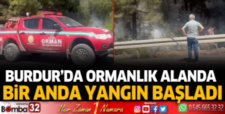 Burdur'da ormanlık alanda yangın çıktı