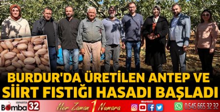 Burdur'da üretilen Antep ve Siirt fıstığı hasadı başladı