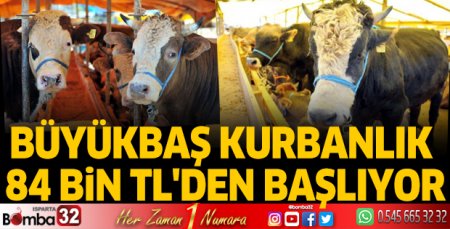Büyükbaş kurbanlık 84 bin TL'den başlıyor