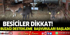 Buzağı destekleme başvuruları başladı