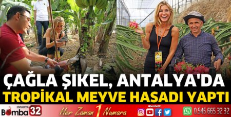 Çağla Şıkel, Antalya'da tropikal meyve hasadı yaptı