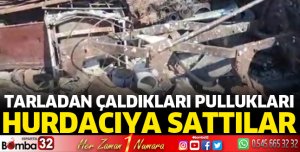 Çaldıkları pullukları hurdacıya satmışlar