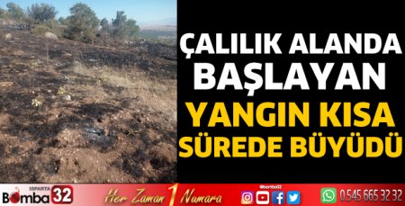 Çalılık alanda başlayan yangın kısa sürede büyüdü