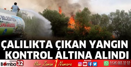 Çalılıkta çıkan yangın kontrol altına alındı