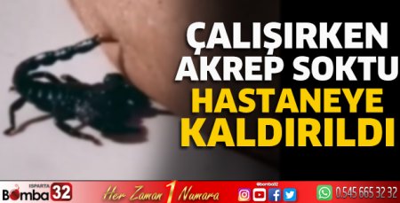 Çalışırken akrep soktu hastaneye kaldırıldı