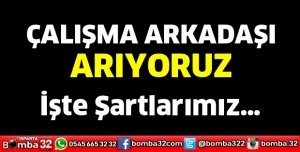 Çalışma Arkadaşı Arıyoruz