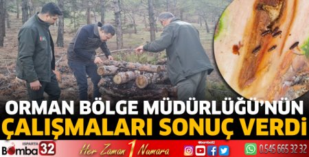 Çalışmalar sonuç verdi