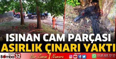 Cam parçası asırlık çınarı yaktı  