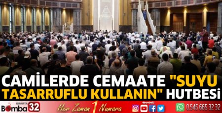 Camilerde 