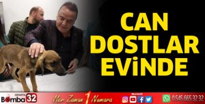 Can dostlar evinde