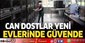 Can Dostlar Yeni Evlerinde