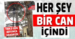 CAN ONLAR İÇİN DEĞERLİ