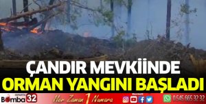 Çandır mevkiinde orman yangını başladı