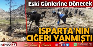 Çandır’da yanan ormanlık alana 300 fidan dikildi
