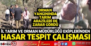 Çandır'da tarım arazilerinde hasar tespit çalışması