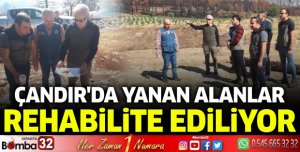 Çandır'da yanan alanlar rehabilite ediliyor