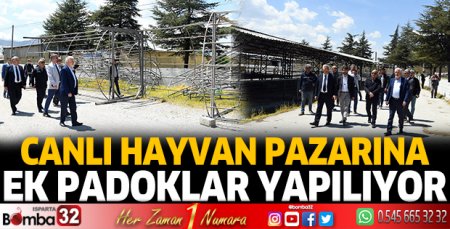 Canlı hayvan pazarına ek padoklar yapılıyor