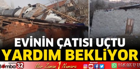 Çaresizce yardım bekliyor