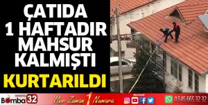 Çatıda 1 hafta mahsur kalan kedi itfaiye tarafından indirildi